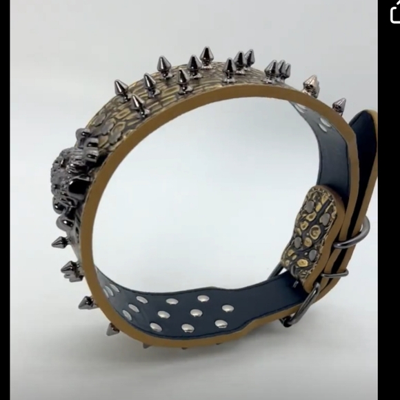 Studded collar - Picture 13 of 14